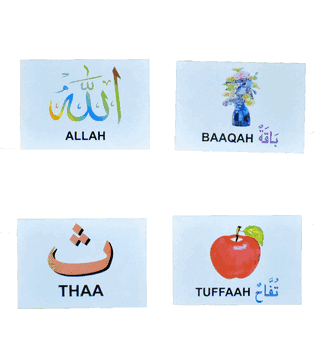 FLASH CARDS (ARABIC ALPHABETS) With Pen