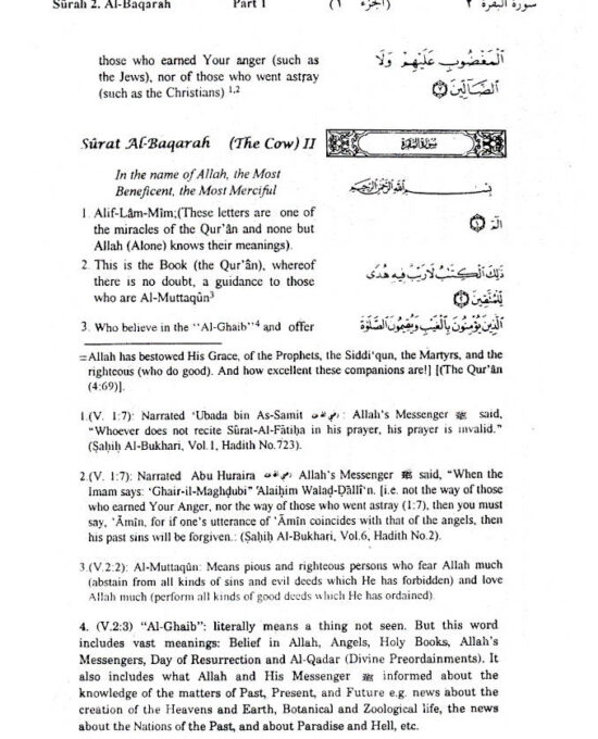 Interpretation of the Meaning of The Noble Quran