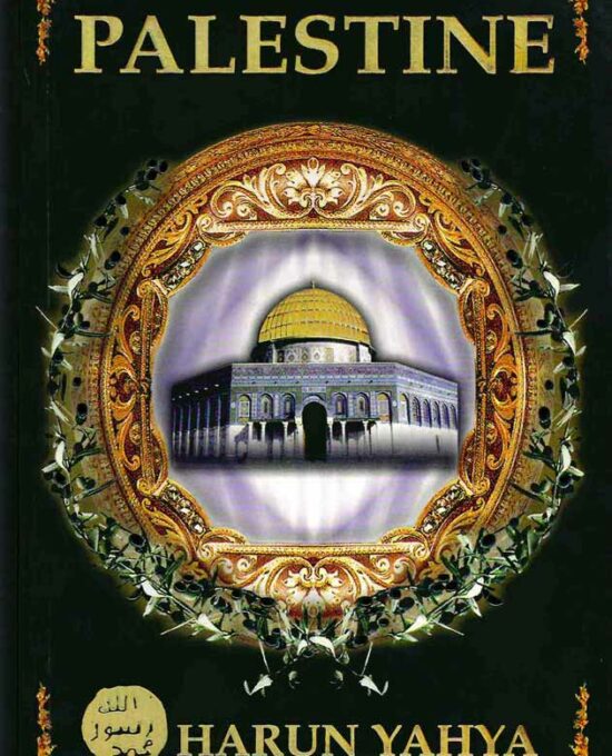 Palestine  ( English ) PB