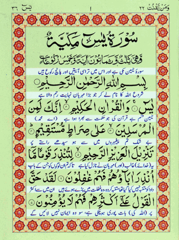 Surah Yaseen Ref.No.12 (Multi-colour) – (Medium) –  (Arabic/Urdu) – (PB)