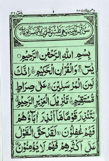 Surah Yaseen Ref.No.95 (Hina)  – (Green) – (Arabic) – (PB)